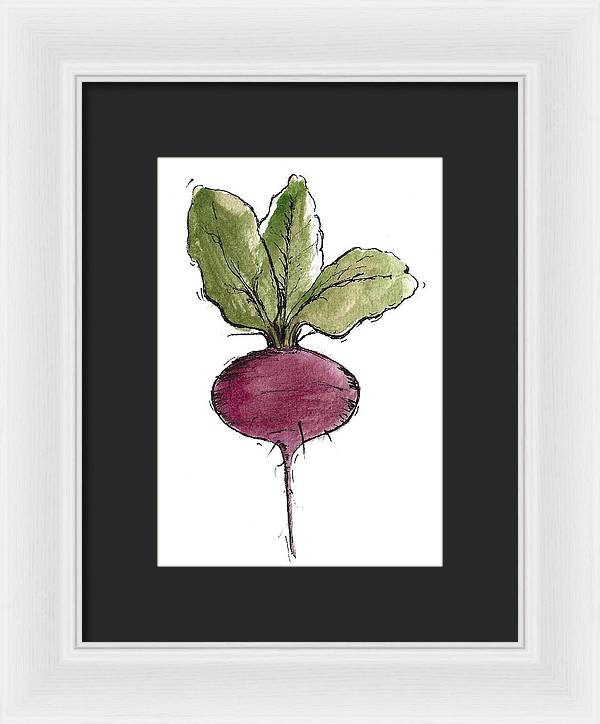 Beetroot Vegetable - Framed Print