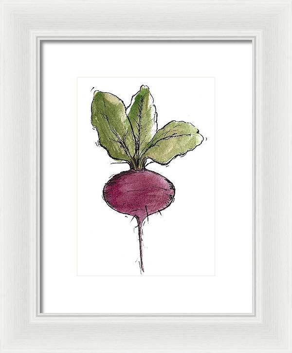 Beetroot Vegetable - Framed Print