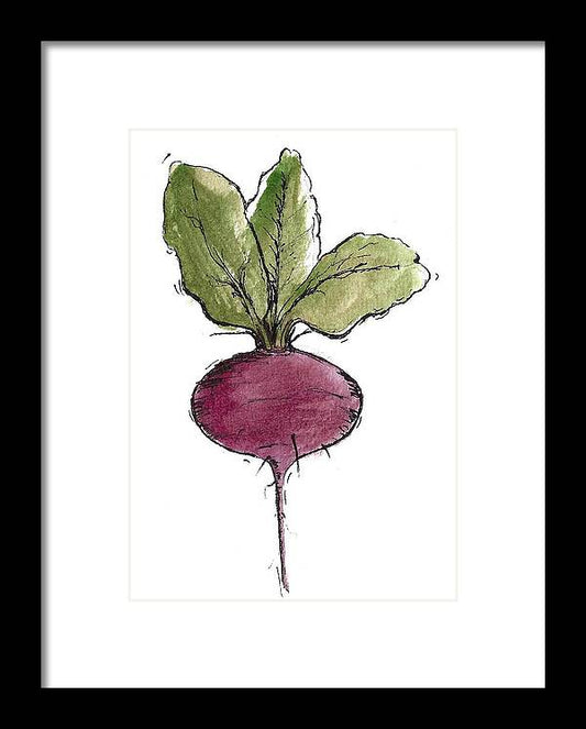 Beetroot Vegetable - Framed Print